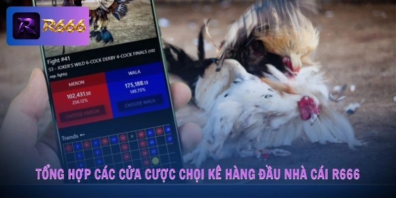 Đá Gà R666 3 Tổng hợp các cửa cược chọi kê hàng đầu nhà cái R666